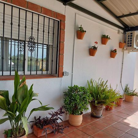 Andalusian Farmhouse With Barbecue, Pool And Wifi Málaga Exterior foto